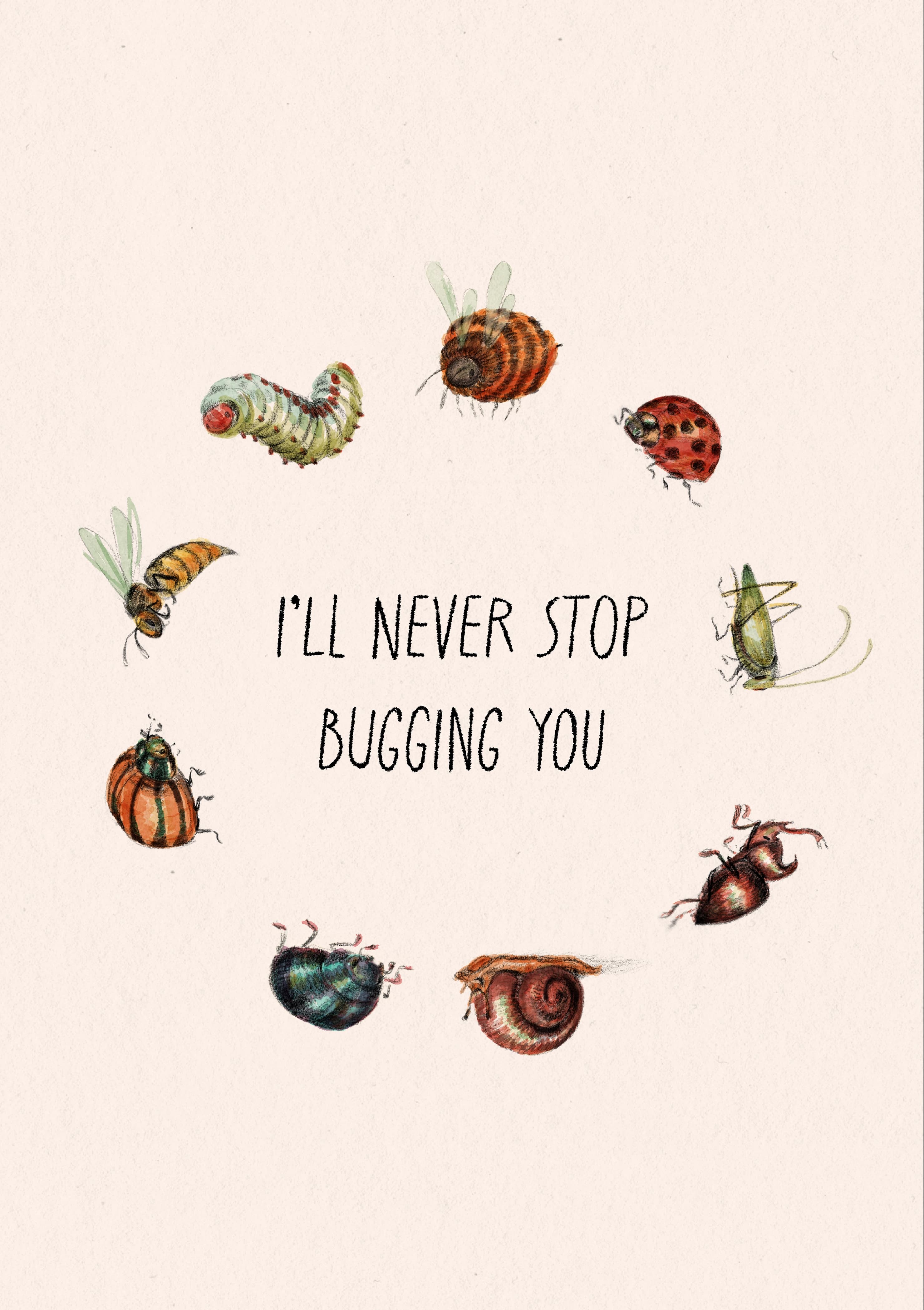 A circle of coloured watercolour and pencil-drawn bugs including a ladybird, caterpillar and a snail. The caption reads "I'll never stop bugging you".