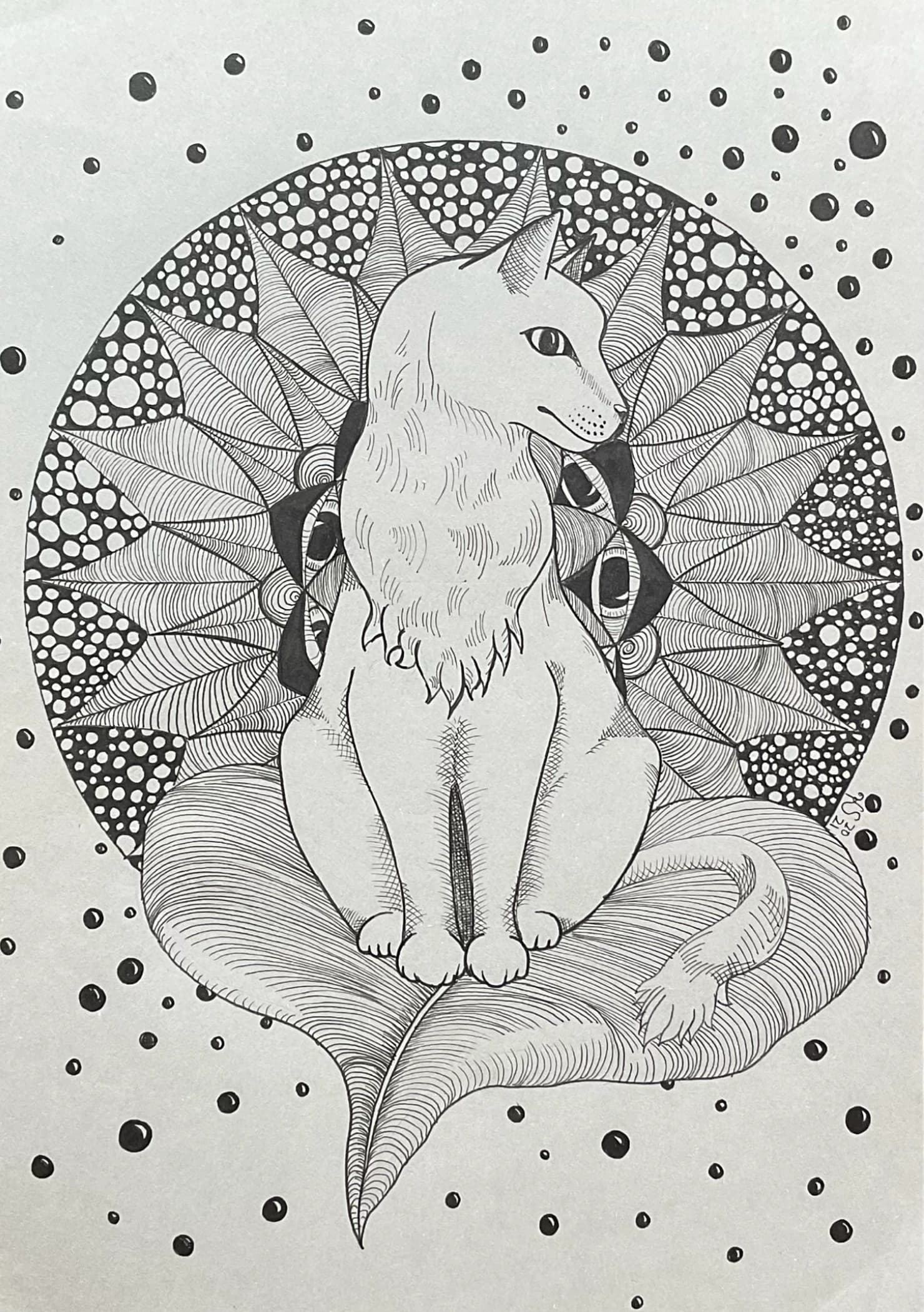 The artwork is a black & white pen drawing of a cat sat on a leaf, with a mandala-style background.