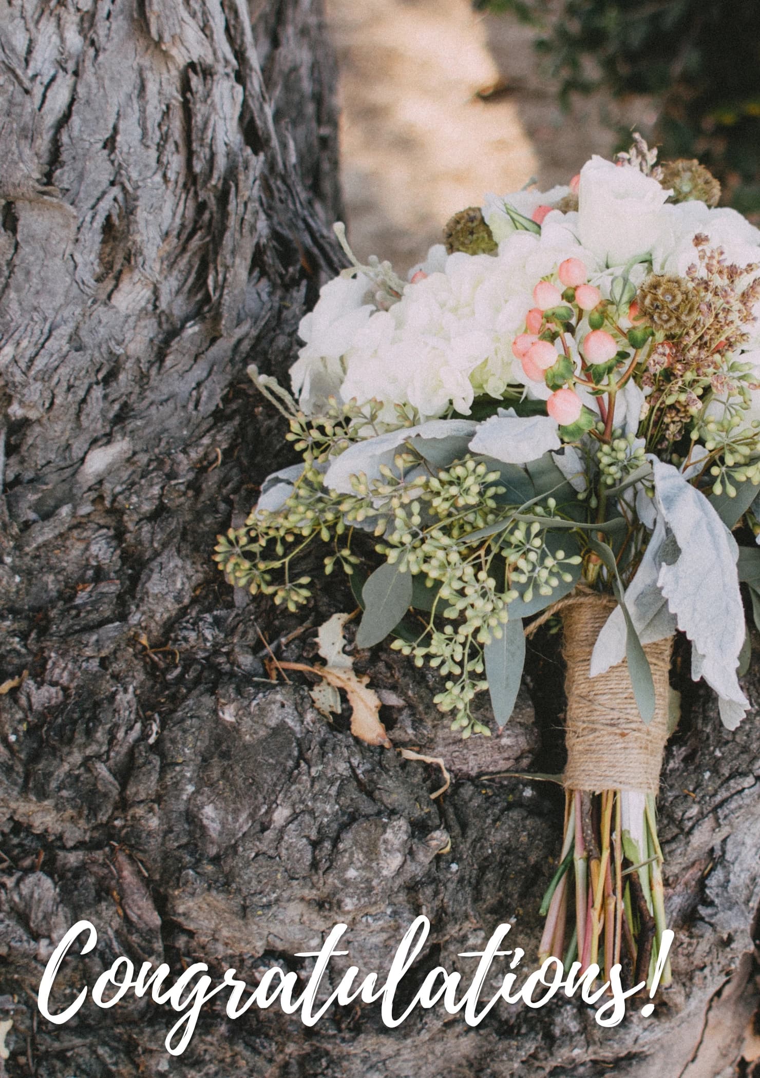 Photo of a bouquet of flowers resting on a tree. The caption reads "Congratulations!".