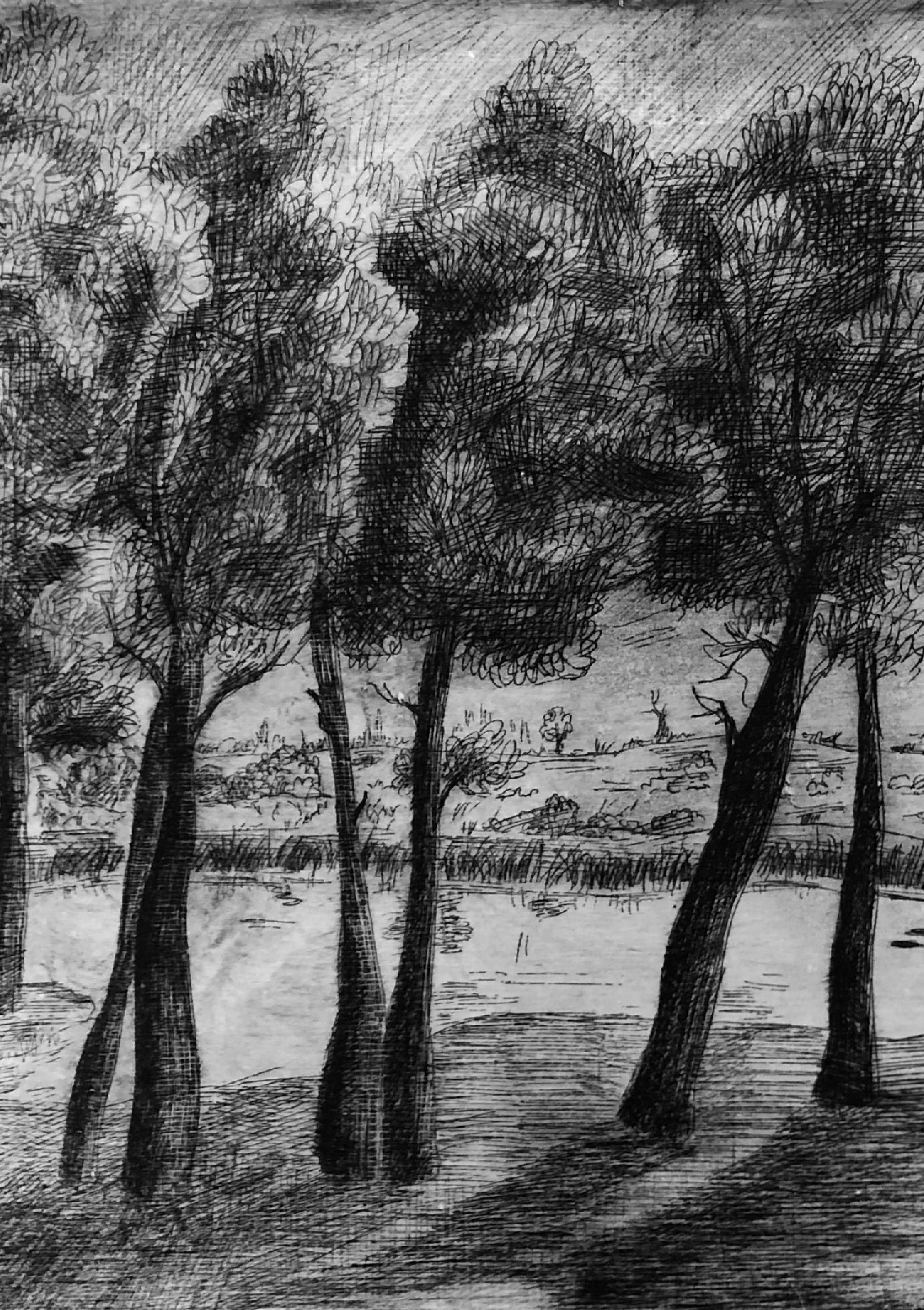 A black and white print from an engraving of a row of trees in front of a lake.