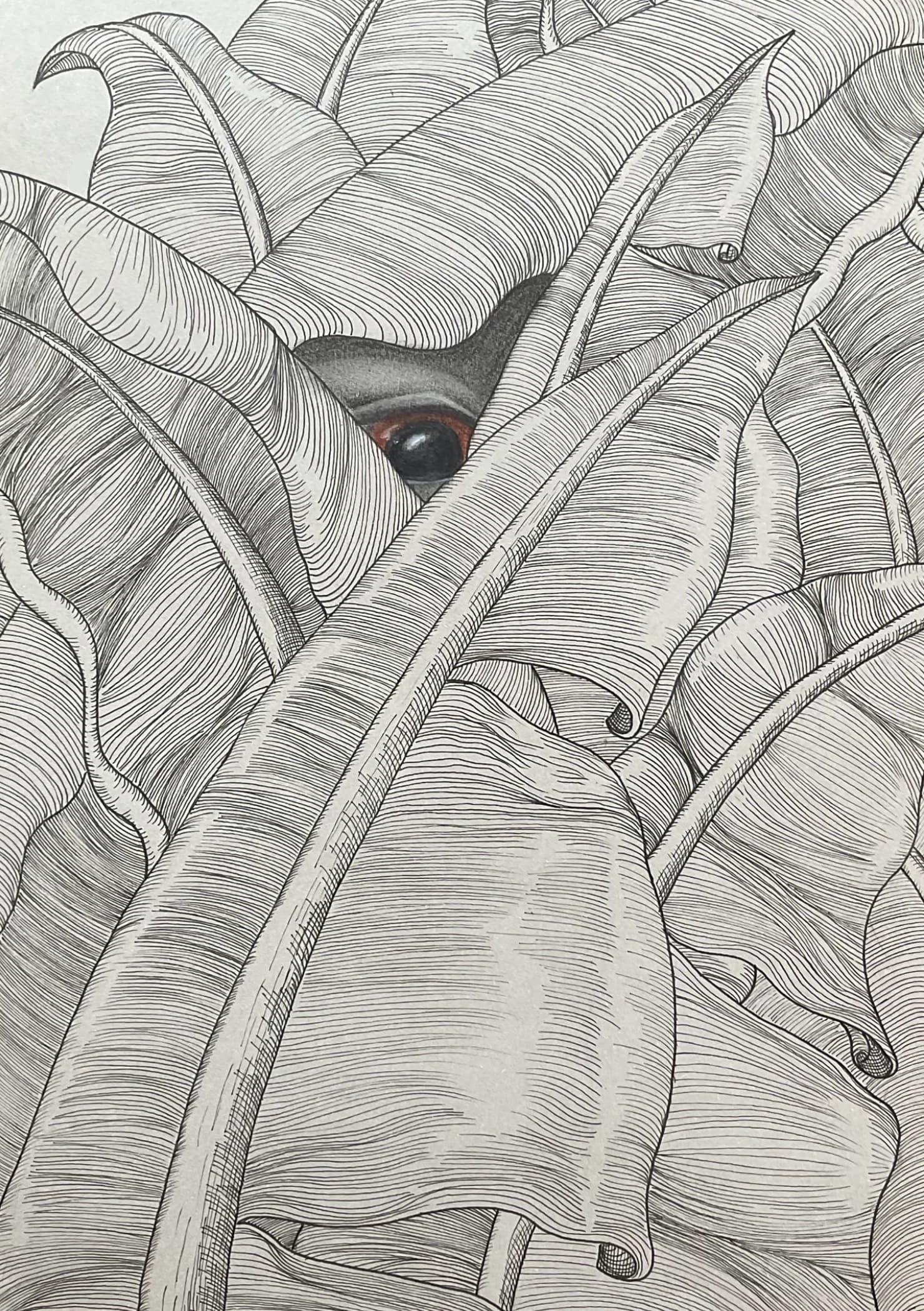The artwork features a pencil drawing of overlapping leaves with an eye peering through.
