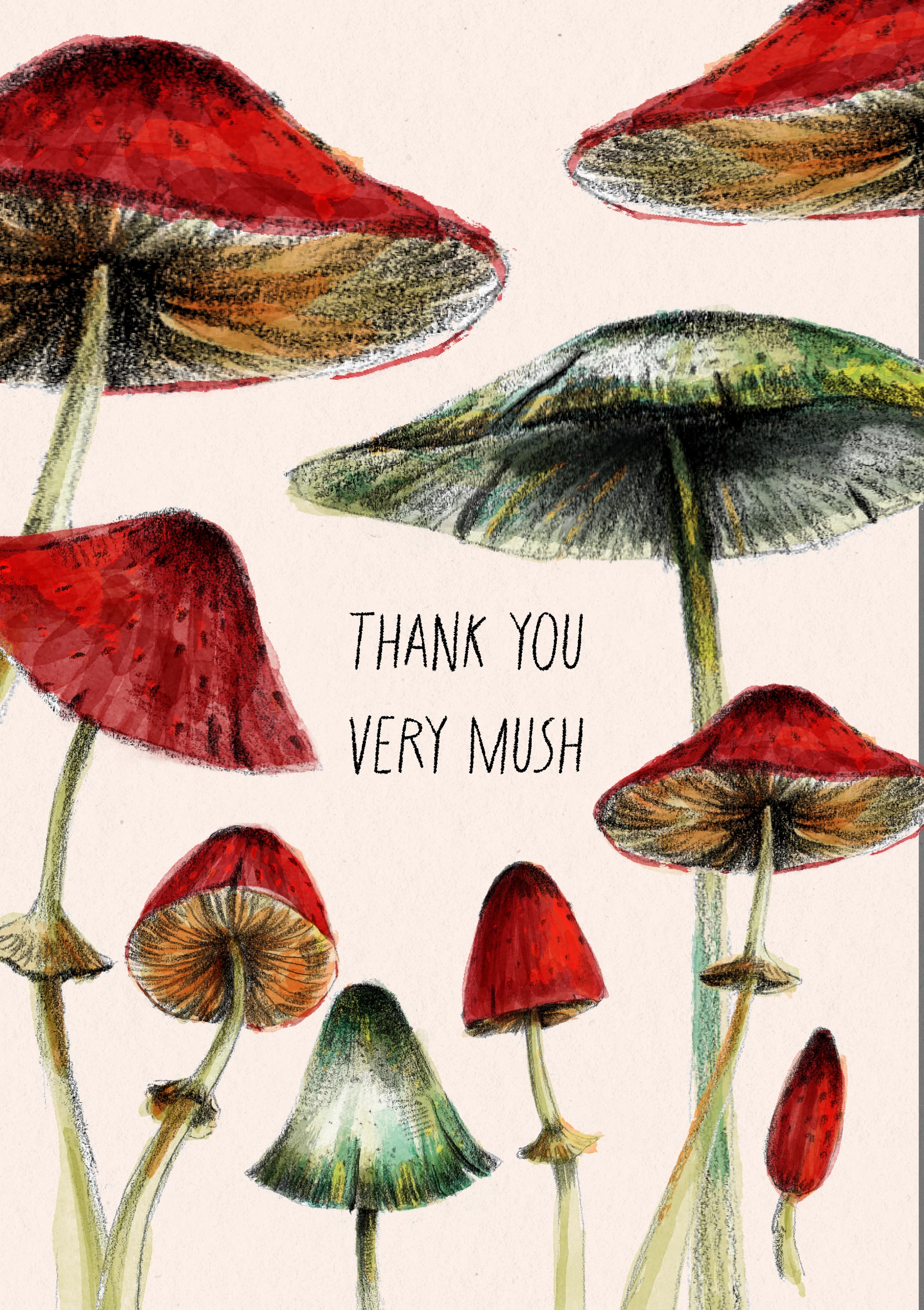 A pencil and watercolour illustration of various mushrooms in red and white/green. The caption reads: "Thank you very mush".