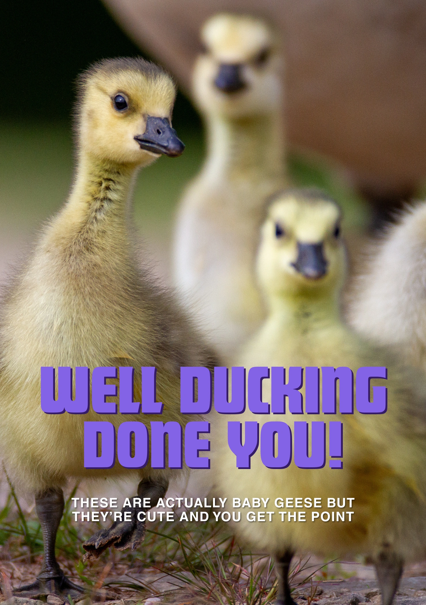 Well ducking done you!